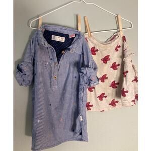Zara Gymboree Lot Shirt & Tunic Adorable Birds & Flowers ~  18/24 Mo / 2 YR